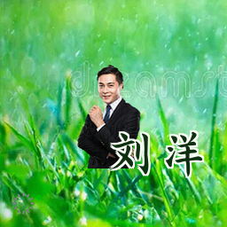 刘洋